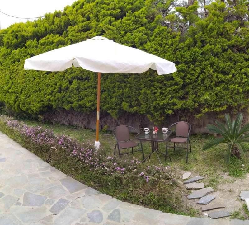 Villa Katerina Ιαλυσός Ρόδος Εξωτερικό φωτογραφία
